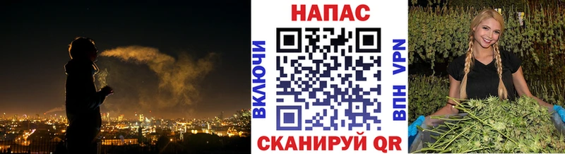 где найти Сафоново Канабис VHQ